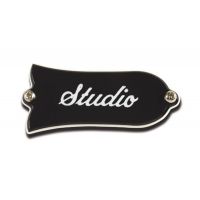 Кришка відсіку анкера GIBSON TRUSS ROD COVER